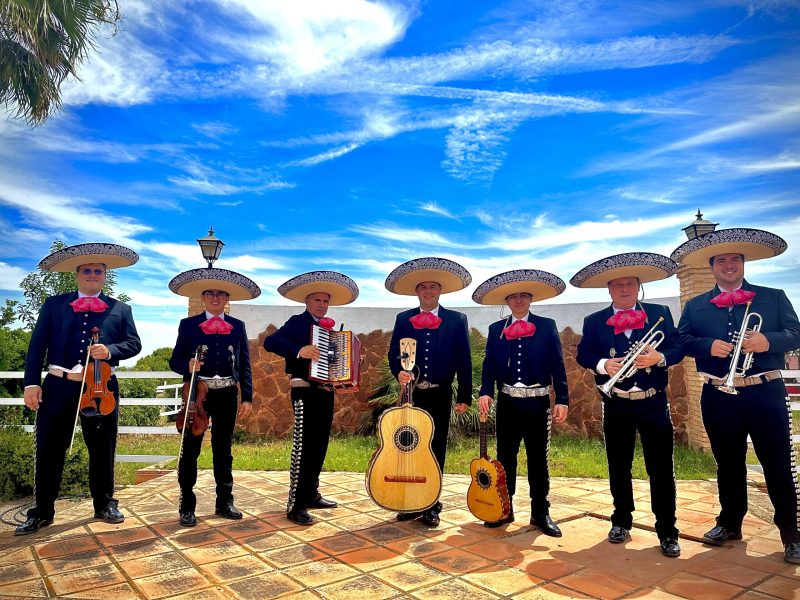 IMG_2499-3 IMG_2499-3